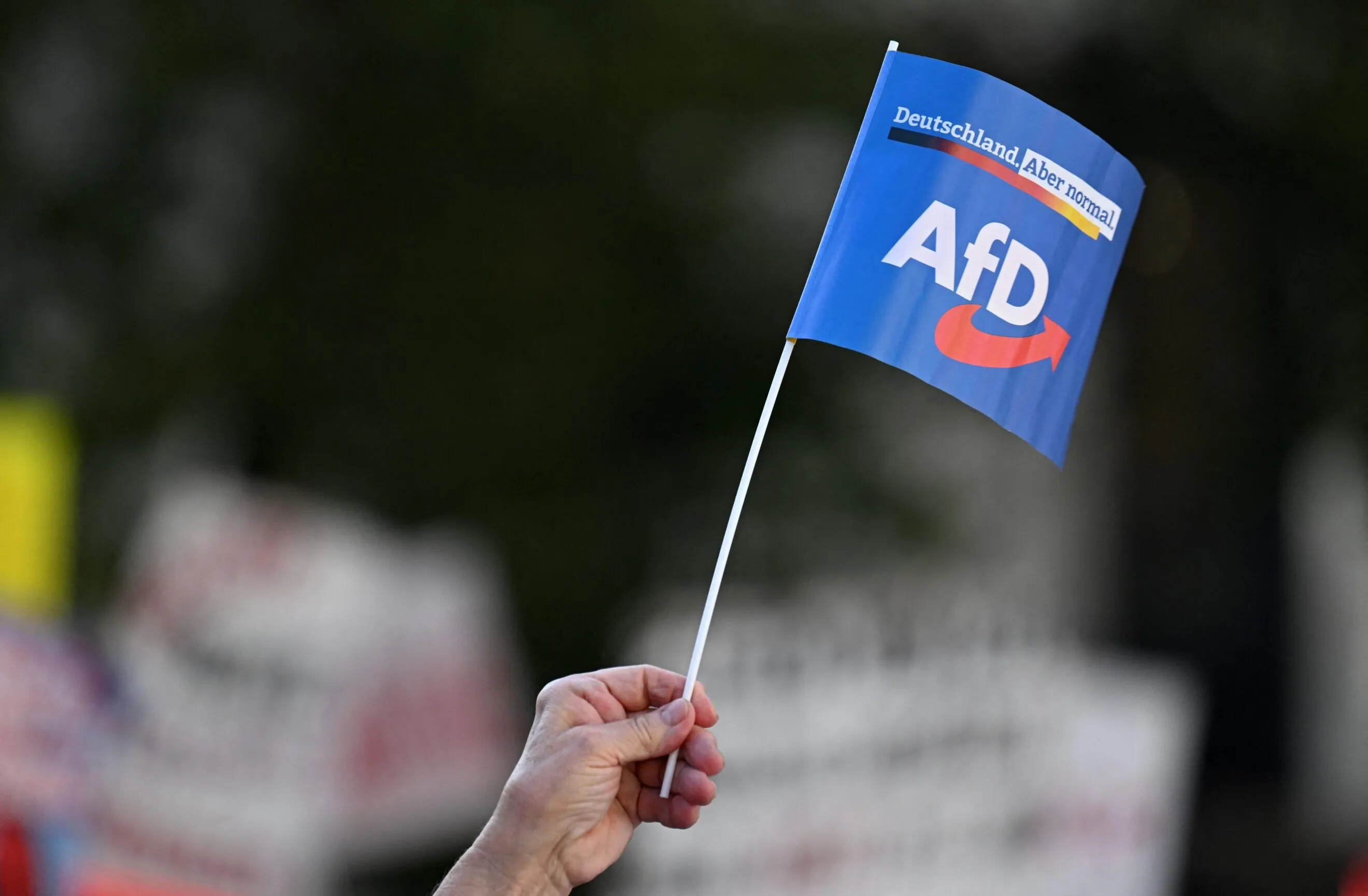 Germany’s far-right predicament — to ban or not
