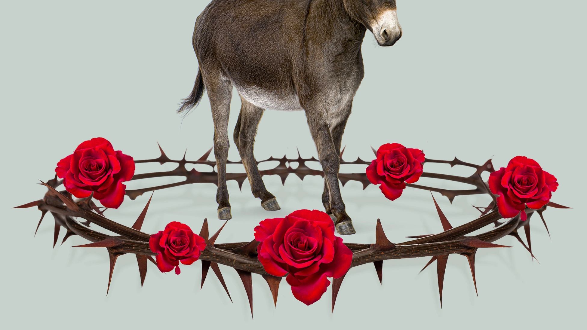 The DSA is a Parasite